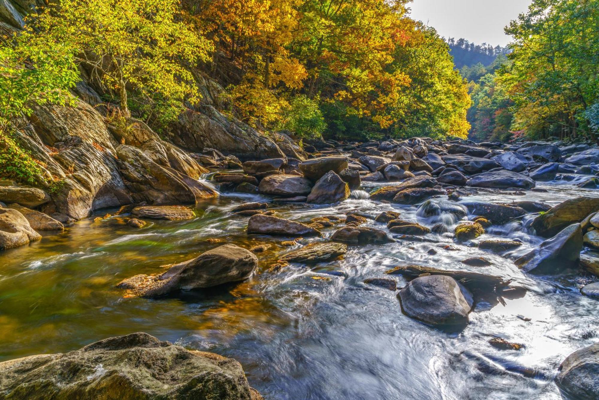 Rocky Top Lookout جاتلينبرج الغرفة الصورة
